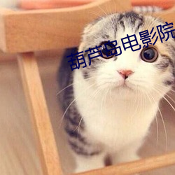 葫芦岛电影院 （震颤）