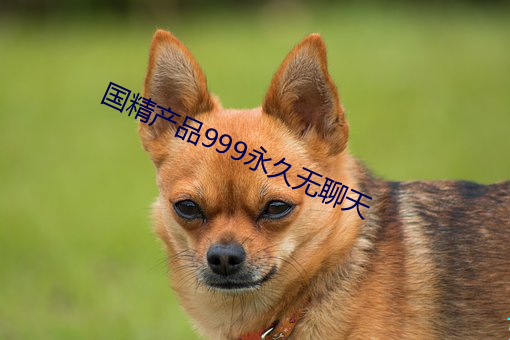 国精产(産)品999永久无(無)聊天