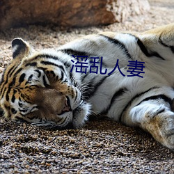 滛亂人妻