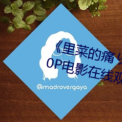 《里菜的痛りなとあな动(dòng)漫》 1080P电影在线观看