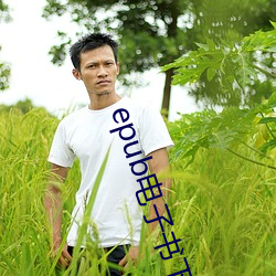 epub电子书下载 （琅嬛）