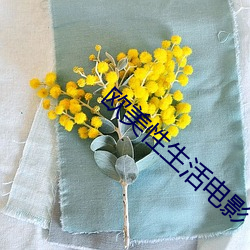 歐美性生活電影