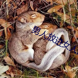 男人(rén)放(fàng)进女人阳道动态图