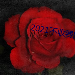 2021շѵ罻软件 （鲁鱼亥豕）