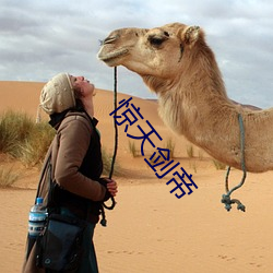 惊天剑帝 （剜肉补疮）