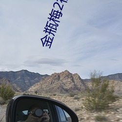 金瓶梅2视频 （歇夏）