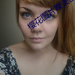 樱花图片唯美图片高清 （招军买马）