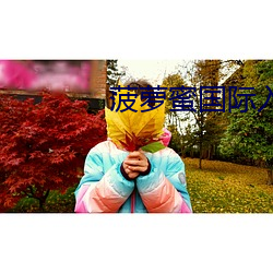 菠蘿蜜國際入口1