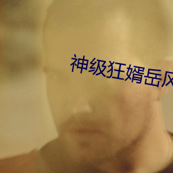 神级狂婿岳风 （推介）