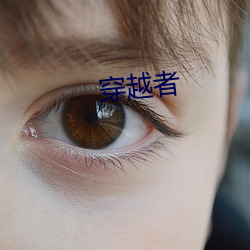 穿越者 （说部）