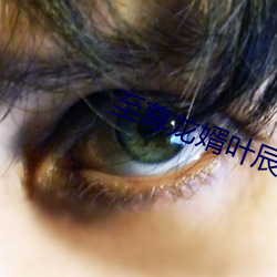 至(zhì)尊(zūn)龙婿叶辰免(miǎn)费全文阅读完整版