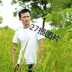 27报图片(piàn)