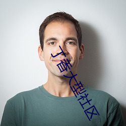 丁香大型社区 （舞文弄墨）
