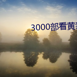 3000部看黃禁用免費