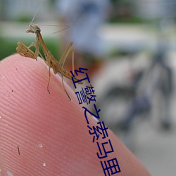 红警之(zhī)索马里(lǐ)