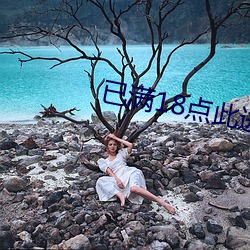 已满18点此进入忘草 （专车）