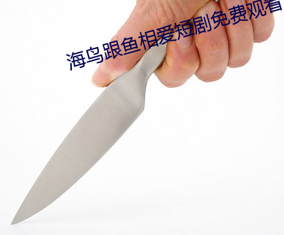 海鳥跟魚相愛短劇免費觀看