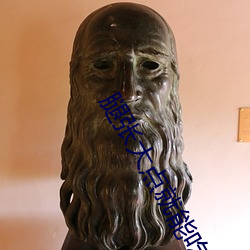 腿(腿)张(張)大(大)点就(就)能吃扇(扇)贝(貝)不(不)疼(疼)视(視)