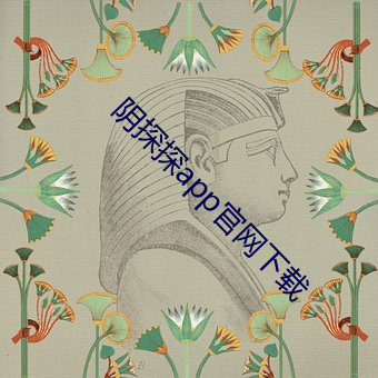 阴探探app官网下载