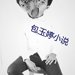包玉婷小(小)说(說)