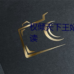 权(quán)倾天下(xià)王妃(fēi)狠绝色全(quán)文免费阅读