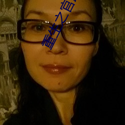 重生之官路商途