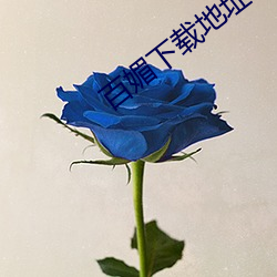 百媚下載地址
