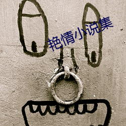 艳情小说集