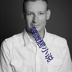 翠微居小说