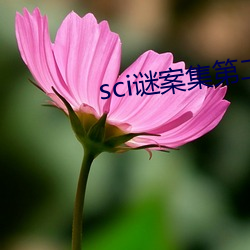 sci谜(謎)案集第二部