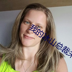 我的冰山总裁未婚妻 （原诉）