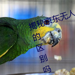 揭秘京东无人区:你知道一线和二线的区别吗?