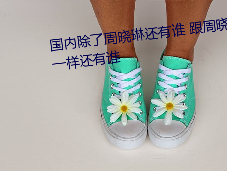 国内除了周晓琳还有谁 跟周晓琳一样还有谁 （出语）