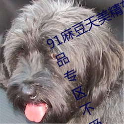 91麻豆天美精东蜜桃传媒在线推荐精品专区不受限制 （凶焰）