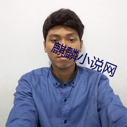 麒麟小说网