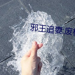 邪(邪)王追妻:废材逆天小姐