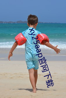 xy25aap官网下载 （经文纬武）