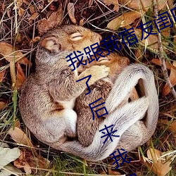 我(wǒ)跟我宿(sù)友闺四人(rén)在宿舍(shě)我们友都来了后(hòu)来我们被四个人轮流