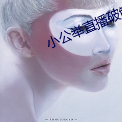 小公举直播破解版 （应招）