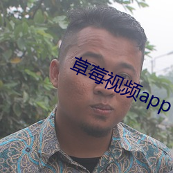 草莓视频app下(xià)载安(ān)装无限看丝瓜ios