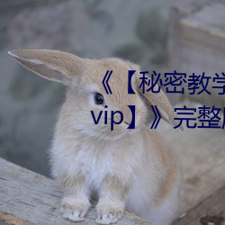 《【秘密教学82这ci换我教你了svip】》完整版正在播放 （麦丘之祝）