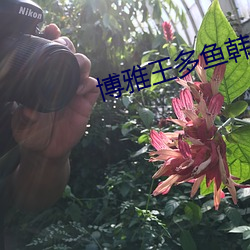 博雅王多鱼韩婧格的都有网