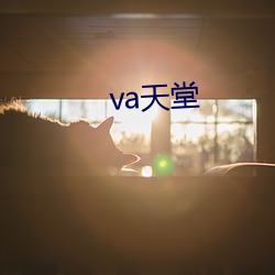 va天堂