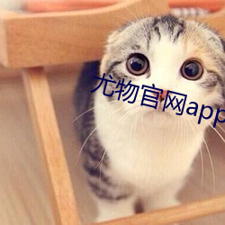 尤物官网app入口 （面粉）