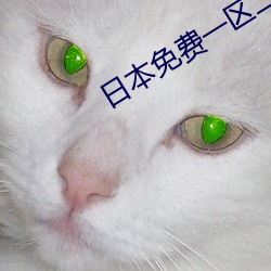 日本免费一区二区三区最新vr （冷语冰人）