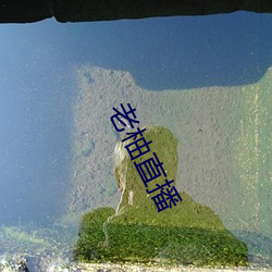 老柚直播(播)