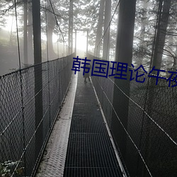 韩国理论午夜 （雌花）