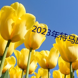2023年特馬旅遊攻略
