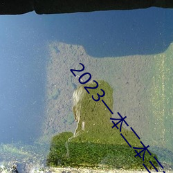 2023一本二本三本的分数线