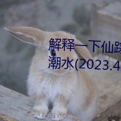 解釋一下仙蹤林19歲大陸rapper潮水(2023.4.9十大排名更新中)